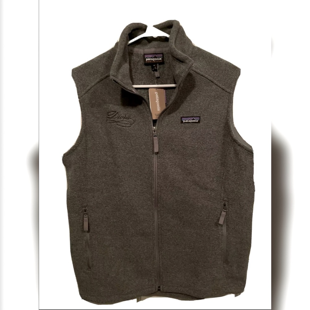 Patagonia Women's Synchilla Gray Fleece Vest